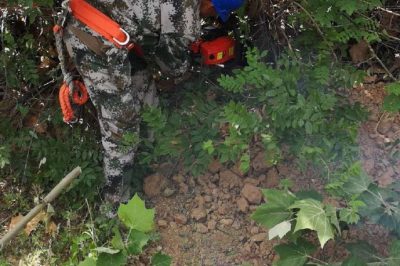 開展輸電線路火災隱患排查治理工作