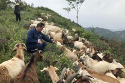 對口幫扶村產(chǎn)業(yè)發(fā)展勢頭強勁