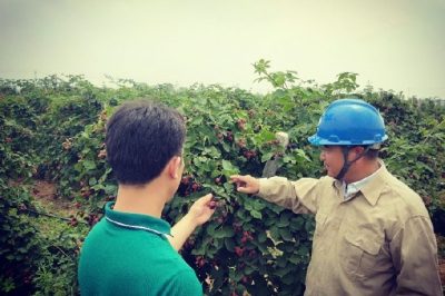 儀征供電公司在生產(chǎn)示范基地開展電力服務