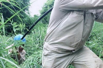 南川區(qū)供電公司緊急搶修被雷擊斷落在路上的10千伏鋒秧線8-10號桿A、C相