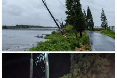 抗擊“利奇馬”的燃情時光–積極應(yīng)對災(zāi)情