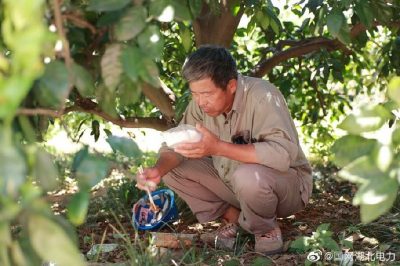 全速搶修被風災折彎的35千伏宏發(fā)紙業(yè)線30-34號鐵塔