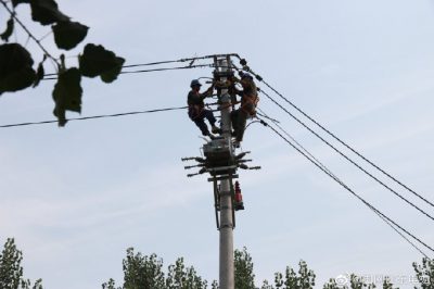 東阿縣供電公司新架設(shè)電桿5基、絕緣導(dǎo)線1000米