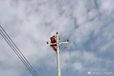 10千伏王崗線(xiàn)武王分支線(xiàn)進(jìn)行絕緣化改造