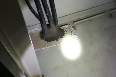 小動(dòng)物，變電站非請(qǐng)勿來