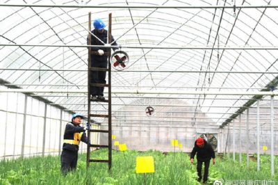 告別2019，我們做到了—上級決策部署全面完成