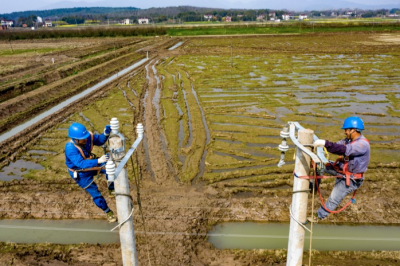 綠色能源助力綠色農業(yè)現(xiàn)代化