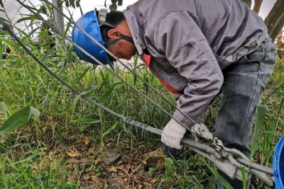 肇事拉線傷、電工搶修忙