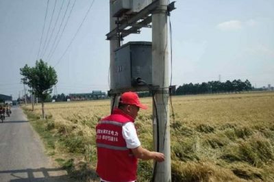 保供電#喜看稻菽千重浪，電力小哥巡視忙 “安全豐收”