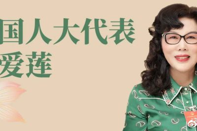 全國(guó)人大代表陳愛(ài)蓮：國(guó)家電網(wǎng)戰(zhàn)略是我國(guó)能源高質(zhì)量發(fā)展的重要途徑