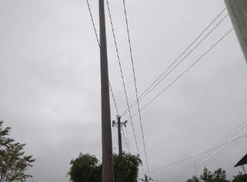 暴雨致電桿歪斜，供電員工搶修扶正