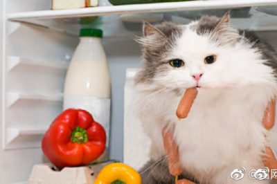 電冰箱省電良方，走過路過別錯過啊！