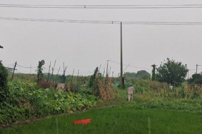 遭遇龍卷風(fēng)突襲10千伏清東線發(fā)生倒桿、斷線事故