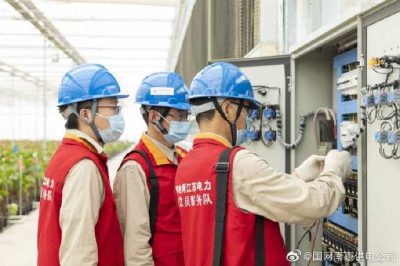 為大棚電力線路、電氣化設(shè)備進(jìn)行縝密排查和整改消缺