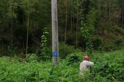 配電運(yùn)行員清理10千伏黃陶線#1050號(hào)桿通道內(nèi)的藤蔓和樹障