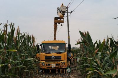 帶電拆除旁路電纜 保障秋收用電無憂