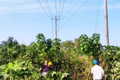 杜絕跳閘、服務(wù)民生打造“平安綠色通道”