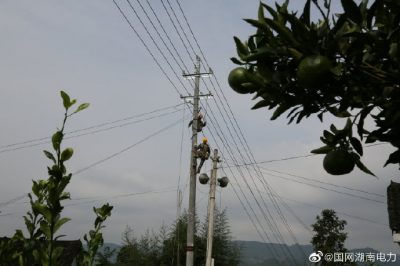 對更換線路10千伏王李線李子園支線4號至7號桿進行金具安裝、導線展放及搭火作業(yè)