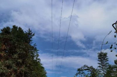 所轄范圍的輸電線路開(kāi)展砍青掃障工作