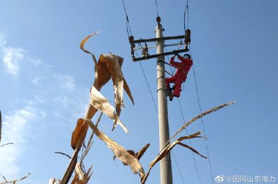 對10千伏春興線海防支線進行清掃、檢修