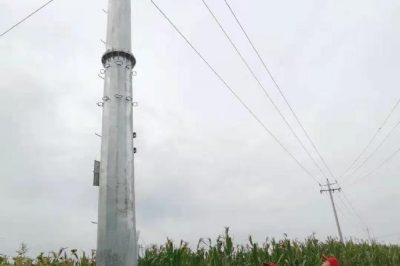 對配電變壓器、增壓開關(guān)、線路接點等進行巡視及測溫工作