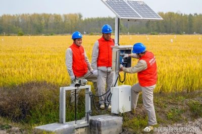 服務(wù)有機(jī)水稻農(nóng)場(chǎng)