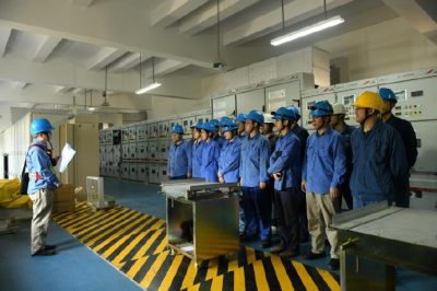 對(duì)110千伏平橋變開展半段C級(jí)檢修工作