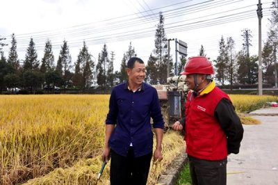 對(duì)涉農(nóng)電氣設(shè)備、線路進(jìn)行特維特巡