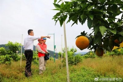 助農(nóng)增收 金秋助農(nóng)上門服務(wù)