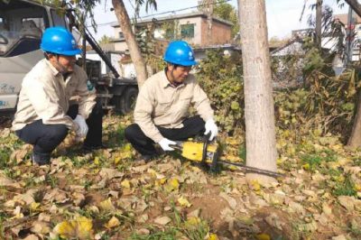 對(duì)轄區(qū)內(nèi)10KV線路通道內(nèi)樹木進(jìn)行徹底清理