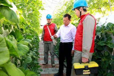 農(nóng)村配網(wǎng)改造推動農(nóng)業(yè)轉(zhuǎn)型升級