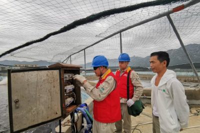 對(duì)寶應(yīng)湖農(nóng)場(chǎng)一大隊(duì)2號(hào)綜合變共54戶表計(jì)進(jìn)行更換，