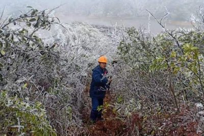 國(guó)網(wǎng)藍(lán)山縣供電公司安排輸電班員工開(kāi)展線路特巡