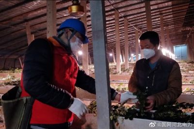 為果蔬大棚檢查供電線路、開關、照明燈具，以及水泵、卷簾機等設備