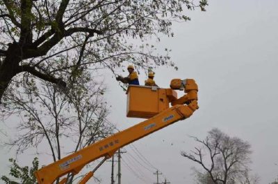 開展樹線矛盾整治專項行動