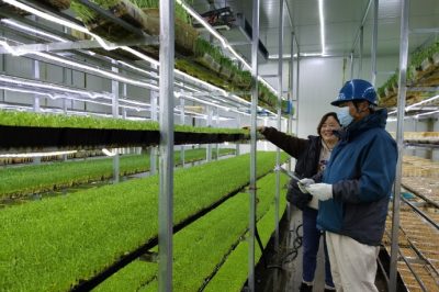 助力綠色產(chǎn)業(yè)發(fā)展供電優(yōu)質服務先行