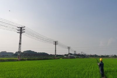東莞東城周屋水稻示范區(qū) 開展配網線路精細化巡檢